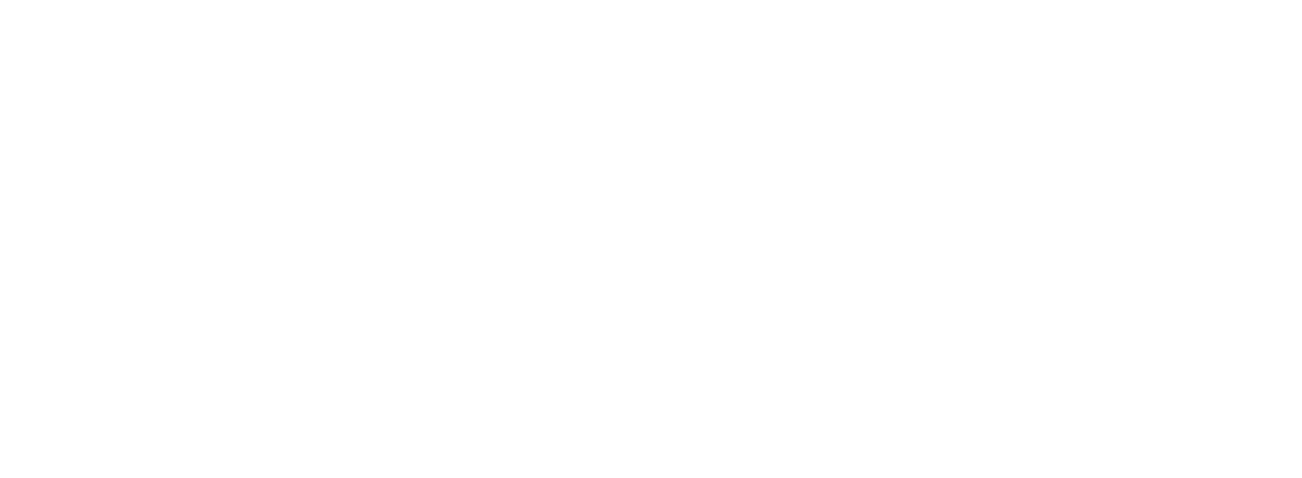 White logo version of the LiberArte logo