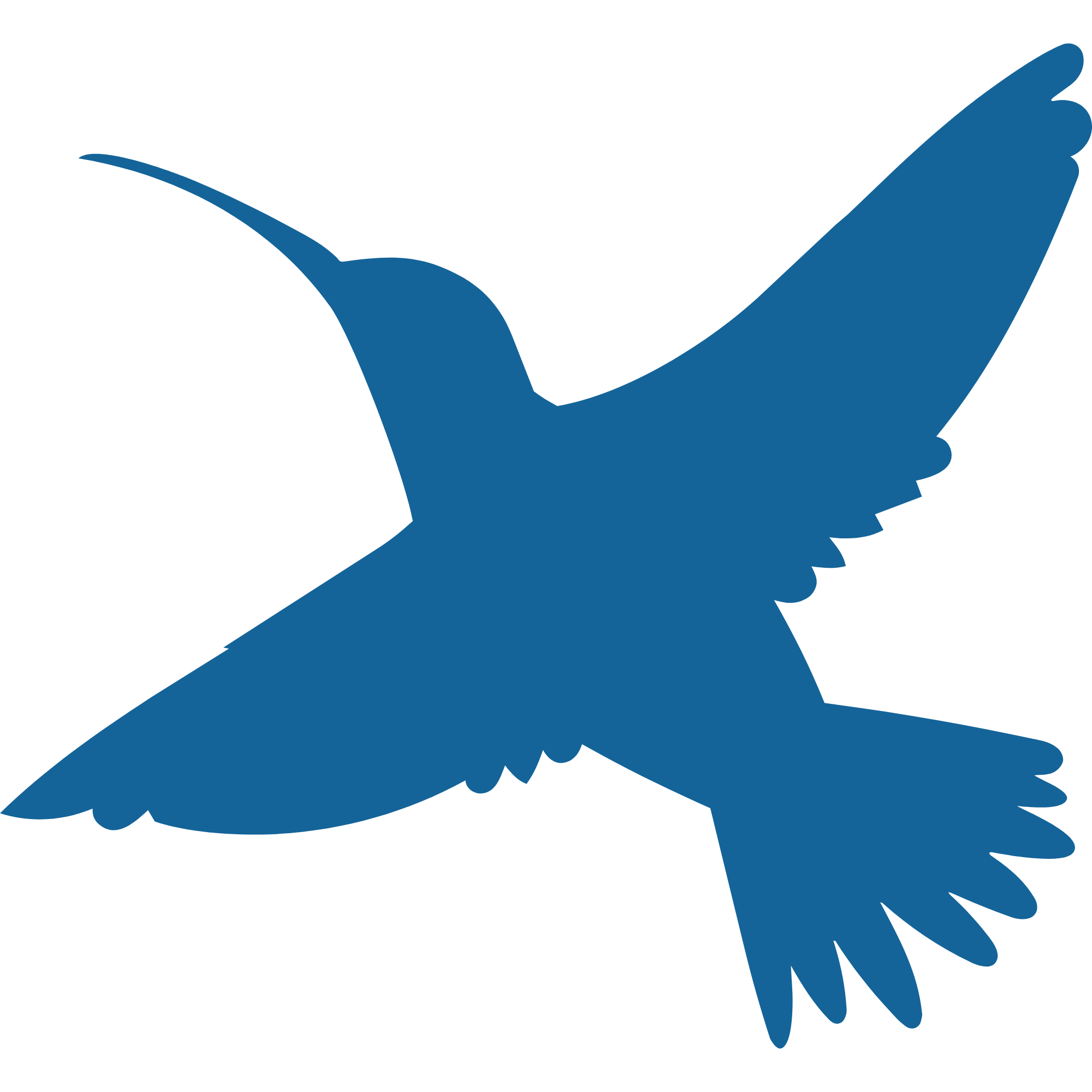 Blue hummingbird