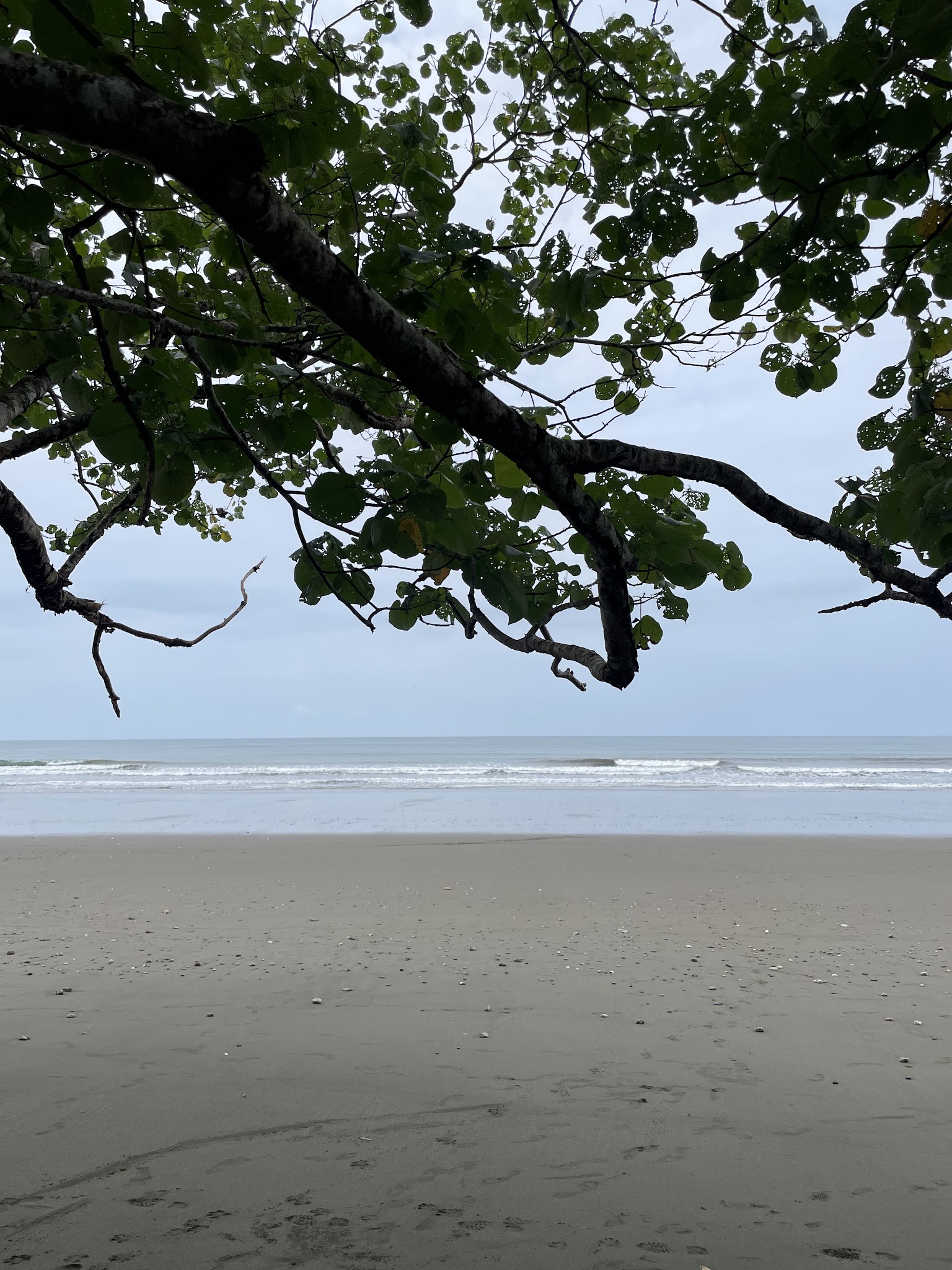Balistikal Queer Retreat photo 72