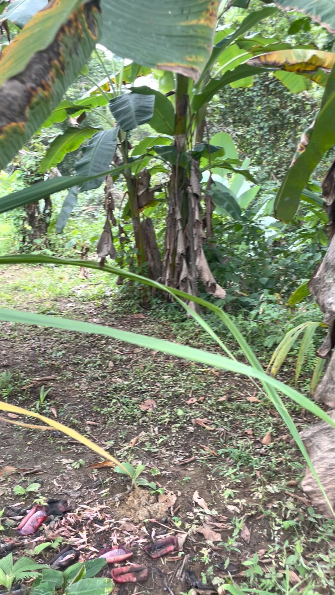 Balistikal Queer Retreat photo 155
