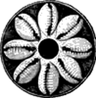 Caribbean Cultural Center African Diaspora Institute logo